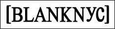 Blank New York logo