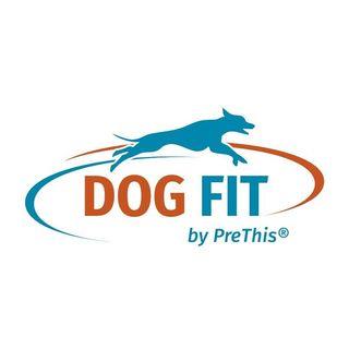Dog Fit logo
