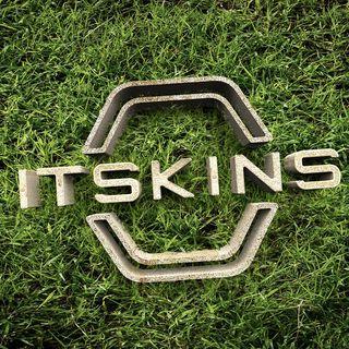 ITSKINS logo