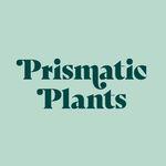 Prismatic Plants coupon codes