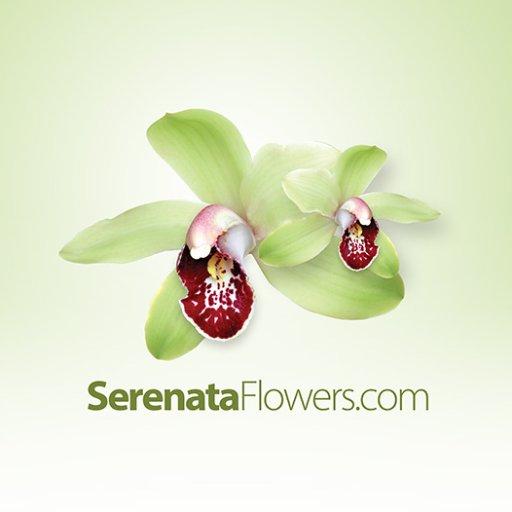 Serenata Flowers coupon codes