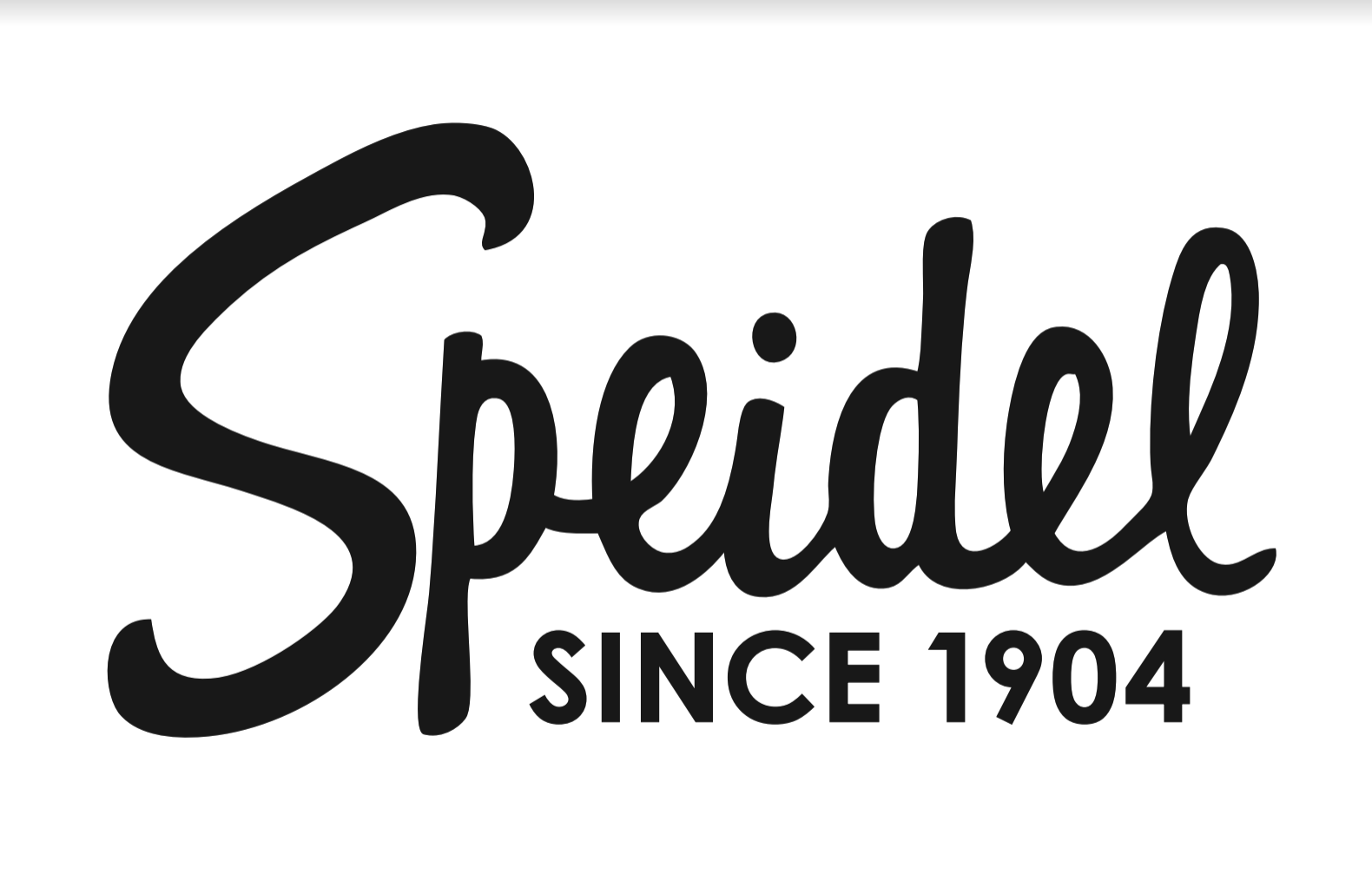 Speidel coupon codes